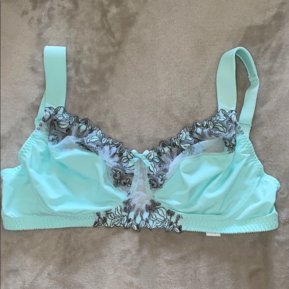 38DDD Bra